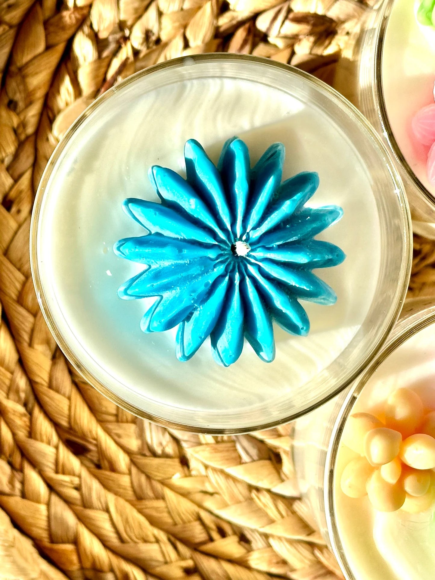 3D Succulent / Terrarium Candle