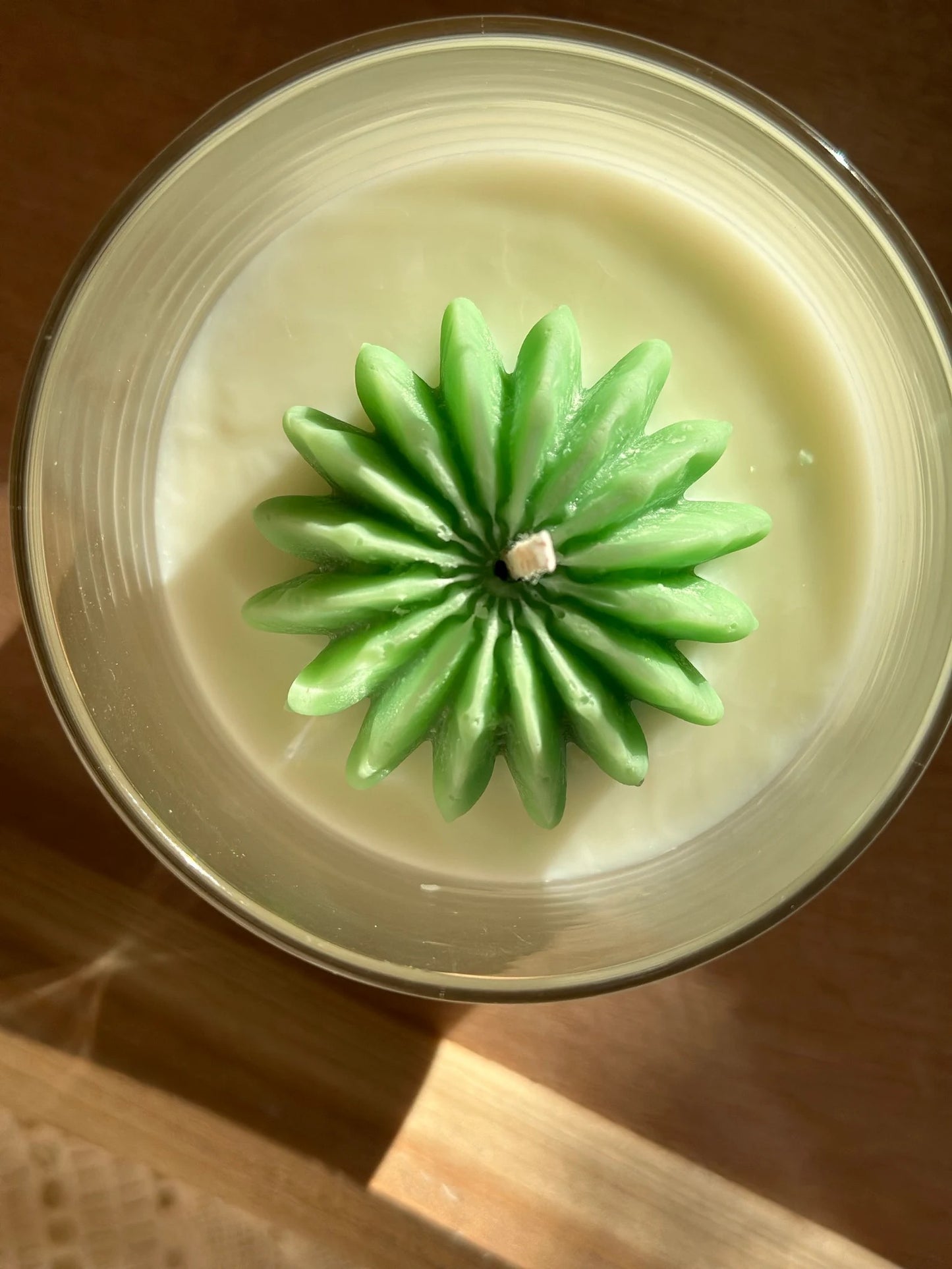 Cactus Succulent Candle